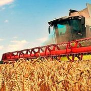 Для вирішення проблем з реєстрацією запрацюють спеціальні робочі групи