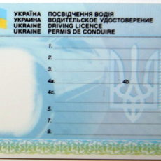 Cтрок дії водійських прав планують скоротити Cтрок дії водійських прав планують скоротити