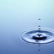 Уряд оновив порядок спеціального використання водних біоресурсів Уряд оновив порядок спеціального використання водних біоресурсів
