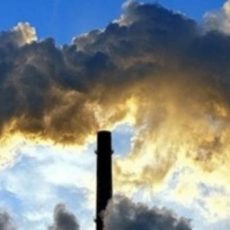 Поширені помилки в звітності з екоподатку Поширені помилки в звітності з екоподатку
