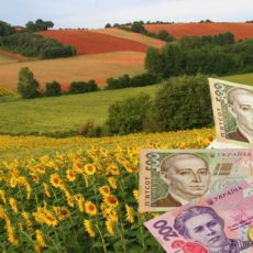 Форму звітності з плати за землю викладено в новій редакції