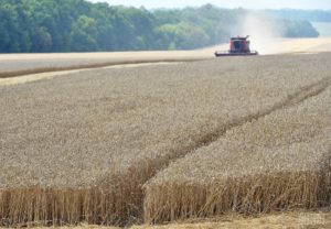 Пільга з прибутку для сільгоспвиробників
