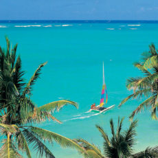 Верховна Рада остаточно схвалила нові правила надання різних видів відпусток