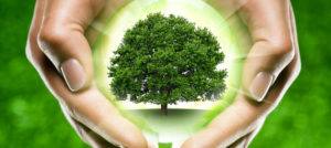 Вводиться європейська система контролю якості продуктів