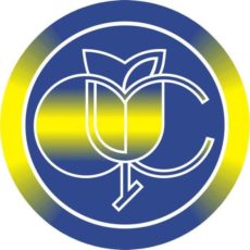 З 1 серпня 2017 року розпочинає роботу Фонд соціального страхування України З 1 серпня 2017 року розпочинає роботу Фонд соціального страхування України