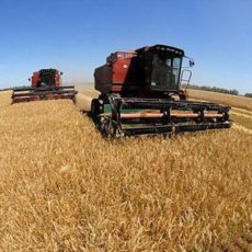 Часткову компенсацію відсотків за кредитами в аграрній сфері збільшено вдвічі