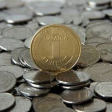 Прожитковий мінімум: розмір та випадки застосування