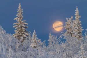 16 важливих змін і подій, які очікують українців у грудні 2017 року