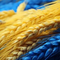 Вітаємо з Днем Незалежності України! Вітаємо з Днем Незалежності України!