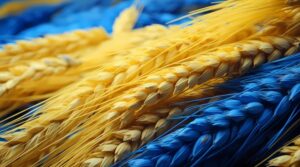 Для окремих видів сільгосппродкції запроваджується бронювання у черзі на митниці під час експорту