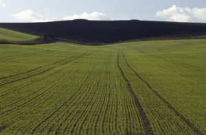 Сільськогосподарська ділянка перебуває у власності або користуванні платника податку на прибуток підприємств неповний рік: деякі особливості заповнення звітності