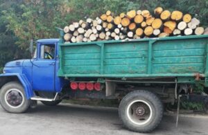 Використовуємо вантажівку лише для внутрішніх потреб: чи проходити техогляд